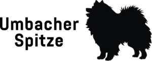 Umbacher_Spitze_Logo_Schrift.png