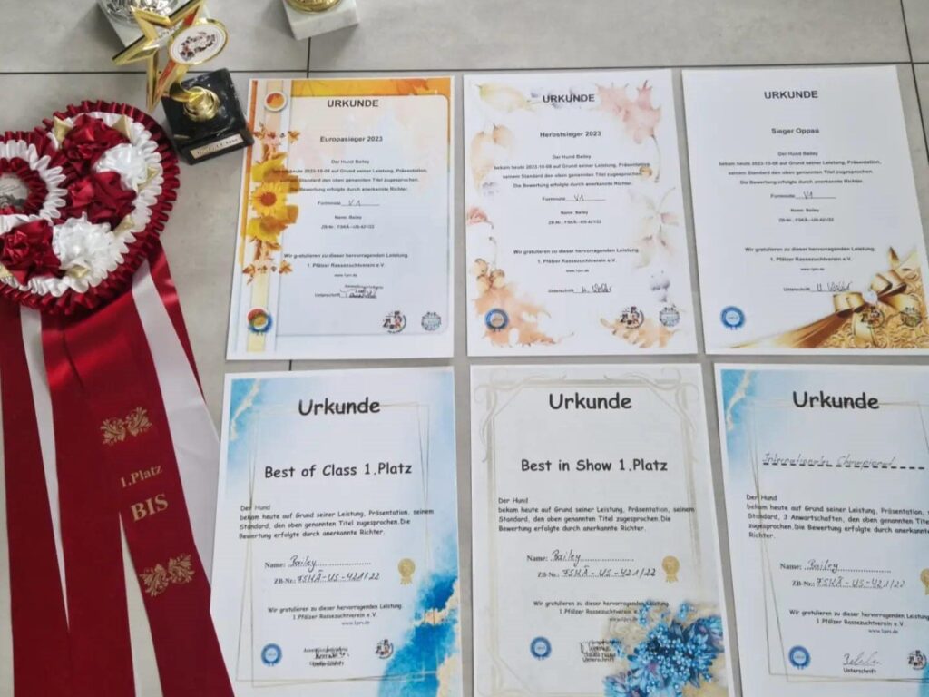 Auszeichnungen-Umbacher-Spitze-Deutsche-Spitzzucht