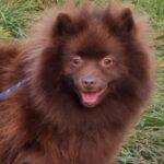 kleinspitz-umbacher-spitze