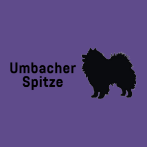 Umbacher-Spitze-Content-2024