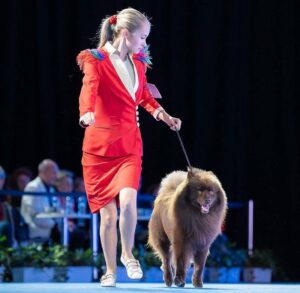 Iri-Auszeichnung-schoenster-Hund-der-Welt